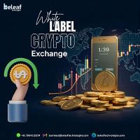 Start Your Own Business with a Leading Crypto Exchange Platform